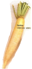 \includegraphics[height=5cm]{daikon.ps}