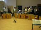 DSCN0265