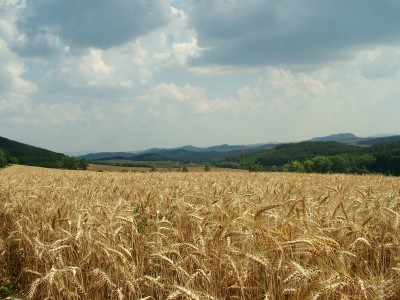 Landscape in the Gerecse Montains