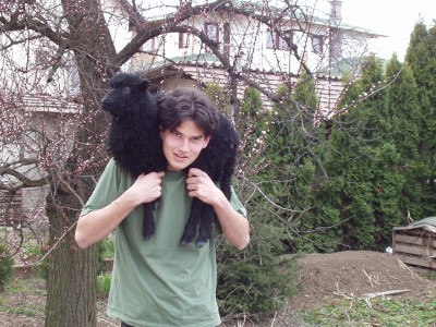 Balambér, our sheep and me